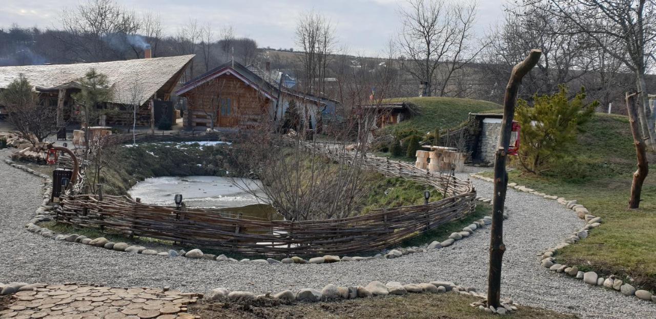 Valea Celor Doisprezece Hotell Piriu Dobreni Exteriör bild