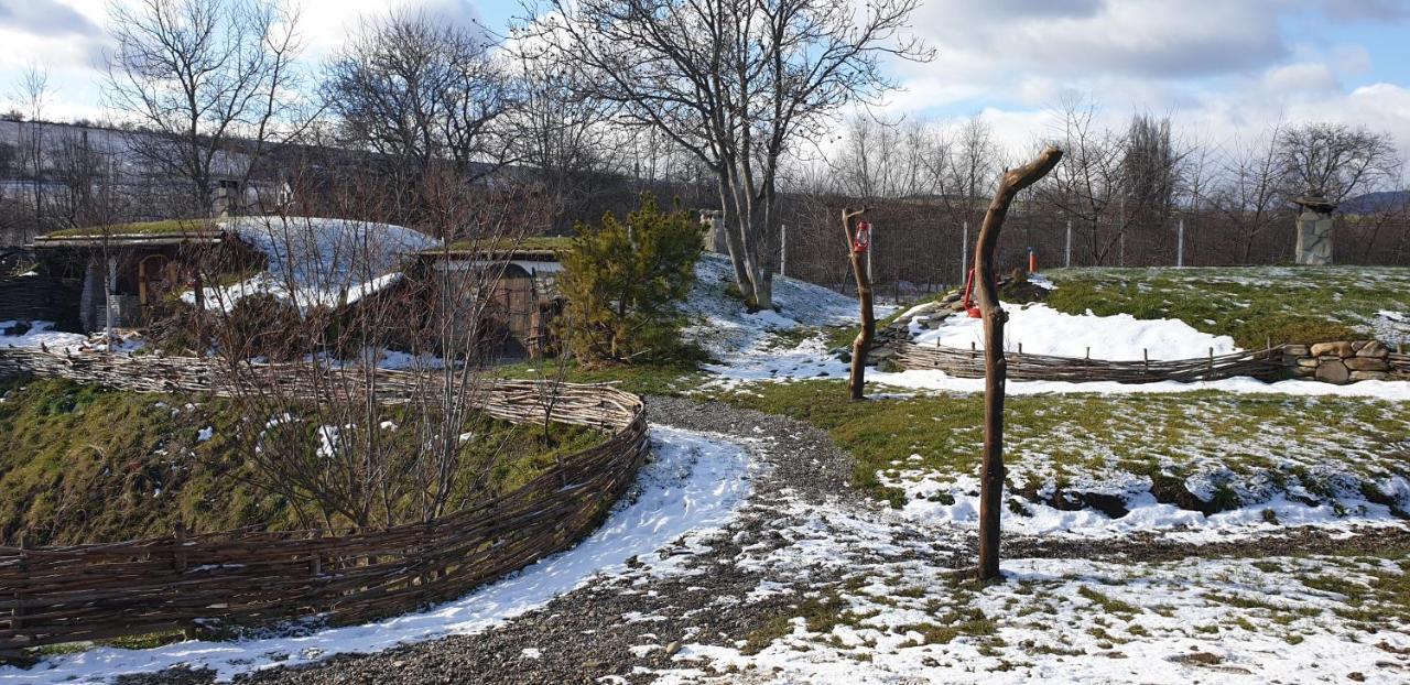 Valea Celor Doisprezece Hotell Piriu Dobreni Exteriör bild